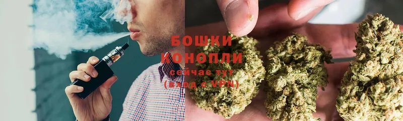 Бошки марихуана THC 21%  Старая Русса 